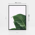 Obraz w ramie 70x100 - Zielone liście monstery - liście, monstera - rama czarna