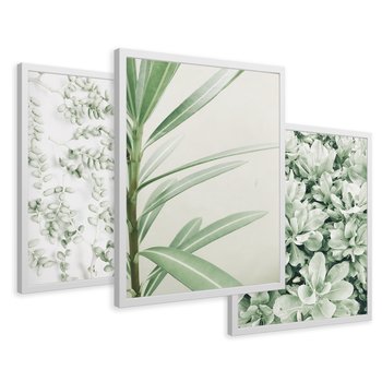 Zestaw obrazy w ramie 40x50 galeria - Liście, zieleń, minimalizm - rama biała
