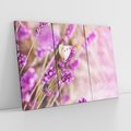 Obraz na płótnie 120x80 - Majestat lawendy: fioletowe pola - lawenda, fiolet