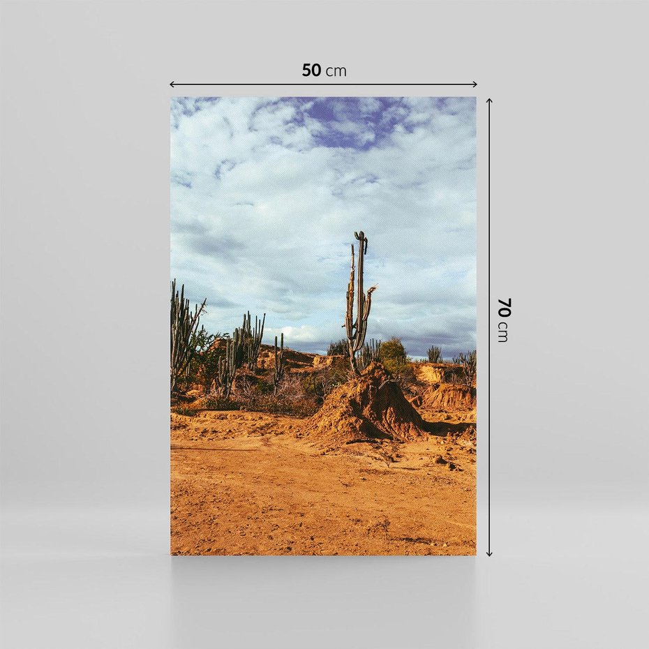 Obraz na płótnie 50x70 - Skarby Pustynnego Kanionu - pustynia, kaktusy