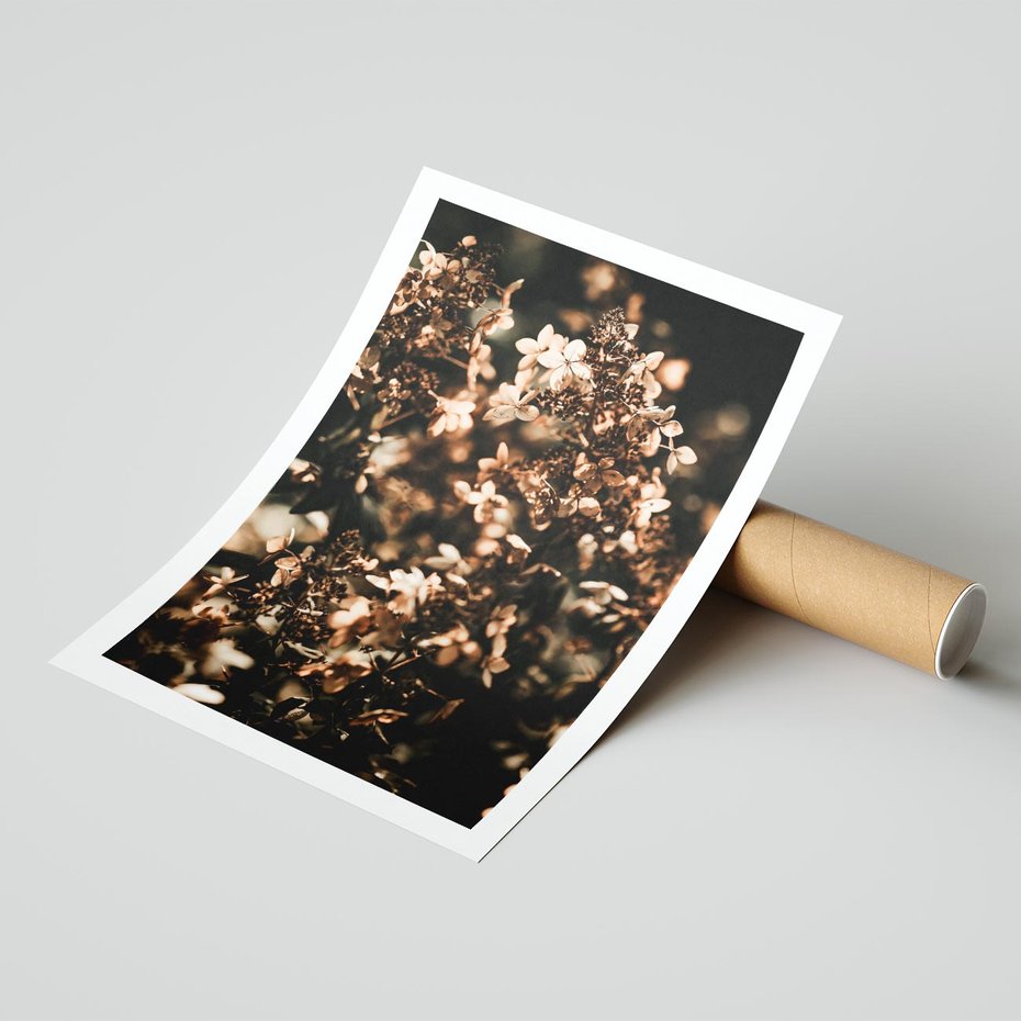 Plakat bez ramy 21x30 - Sucha Kompozycja Kwiatów - suche kwiaty hortensji