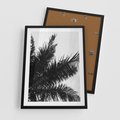 Plakat w ramie 50x70 - Czas Zapomnienia - palmy, czarno biała fotografia - rama czarna