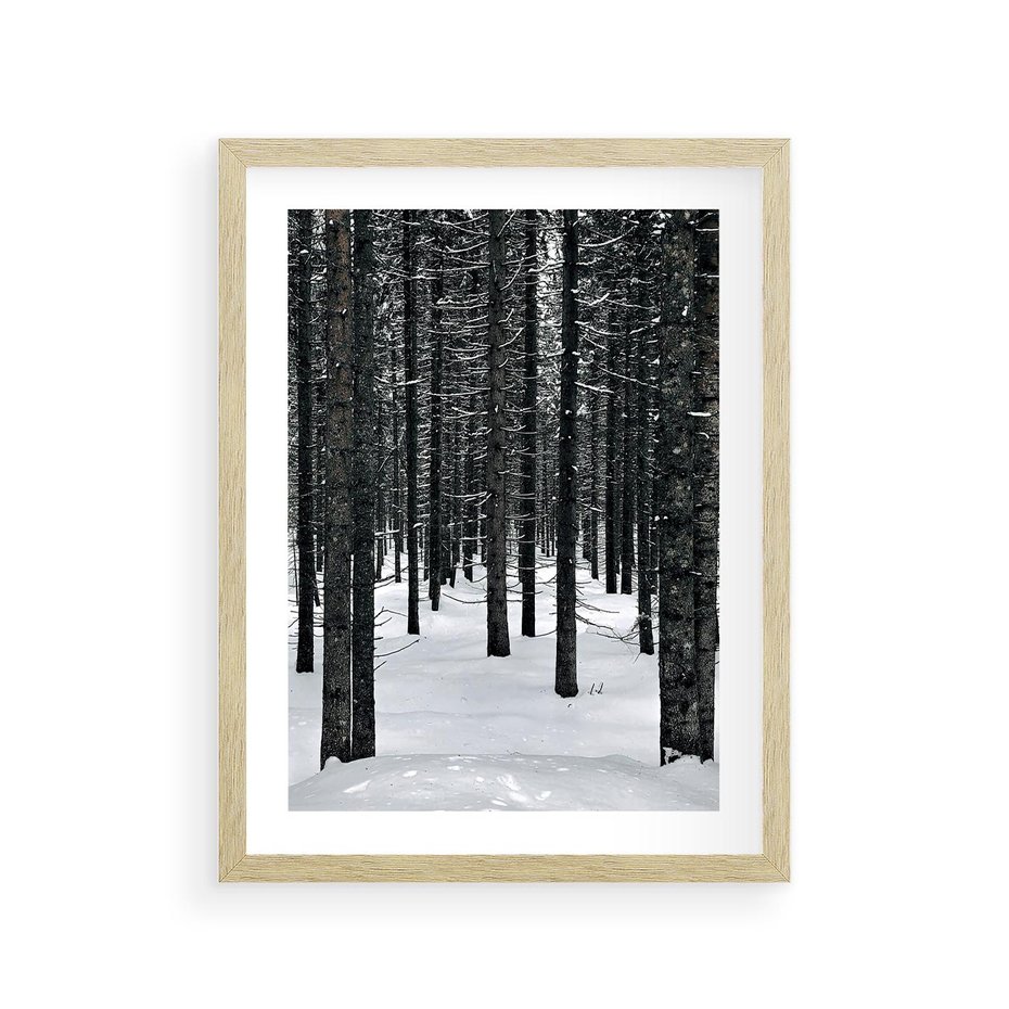 Plakat w ramie 30x40 - Zimowe Drzewa: Śnieg na Pniach - drzew w zimi, pnie drzew - rama drewno
