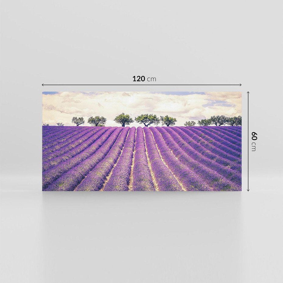 Obraz na płótnie 120x60 - Uroda Lawendy: Kwiatowy Cud Natury - lawenda, kwiaty