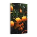 Obraz na płótnie 70x100 - Mandarynki na Drzewku - Owoce Pory Roku - mandarynki, drzewko