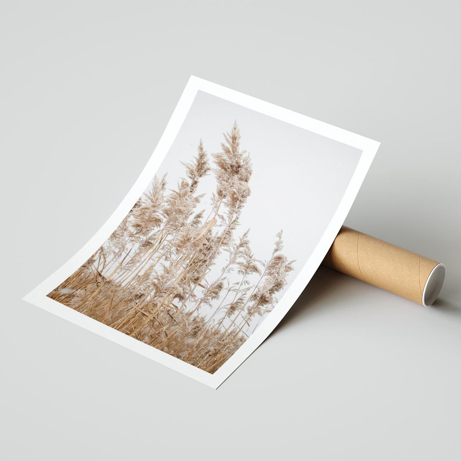 Plakat bez ramy 21x30 - Boho Urok - trawy, pampas