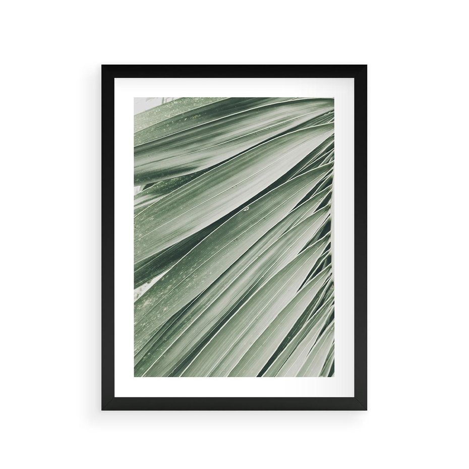 Plakat w ramie 30x40 - Tropikalna Oaza - zielony liść palmy, zieleń - rama czarna