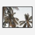 Obraz w ramie 100x70 - Palmy - tęsknota za Hawajami - palmy, Hawaje - rama czarna