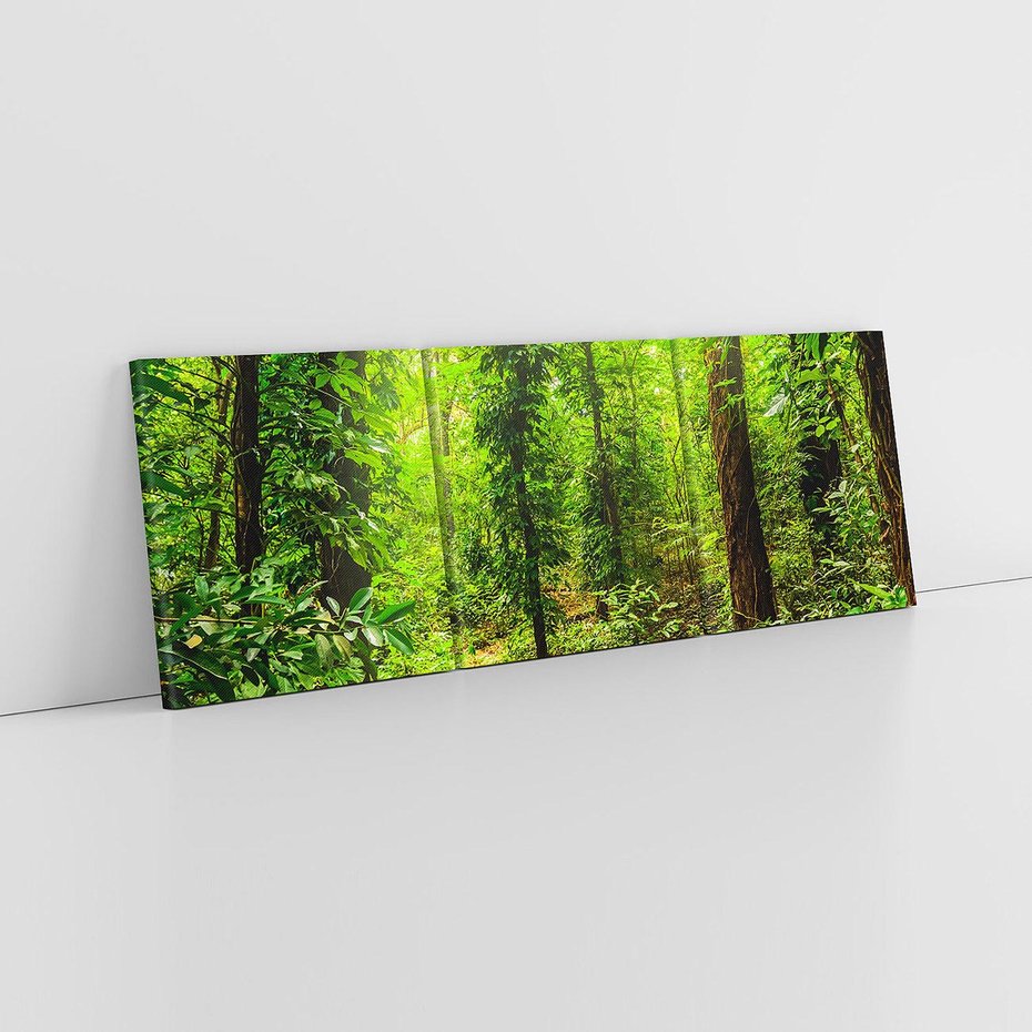 Obraz na płótnie 120x40 - Współistnienie z naturą - drzewa, las