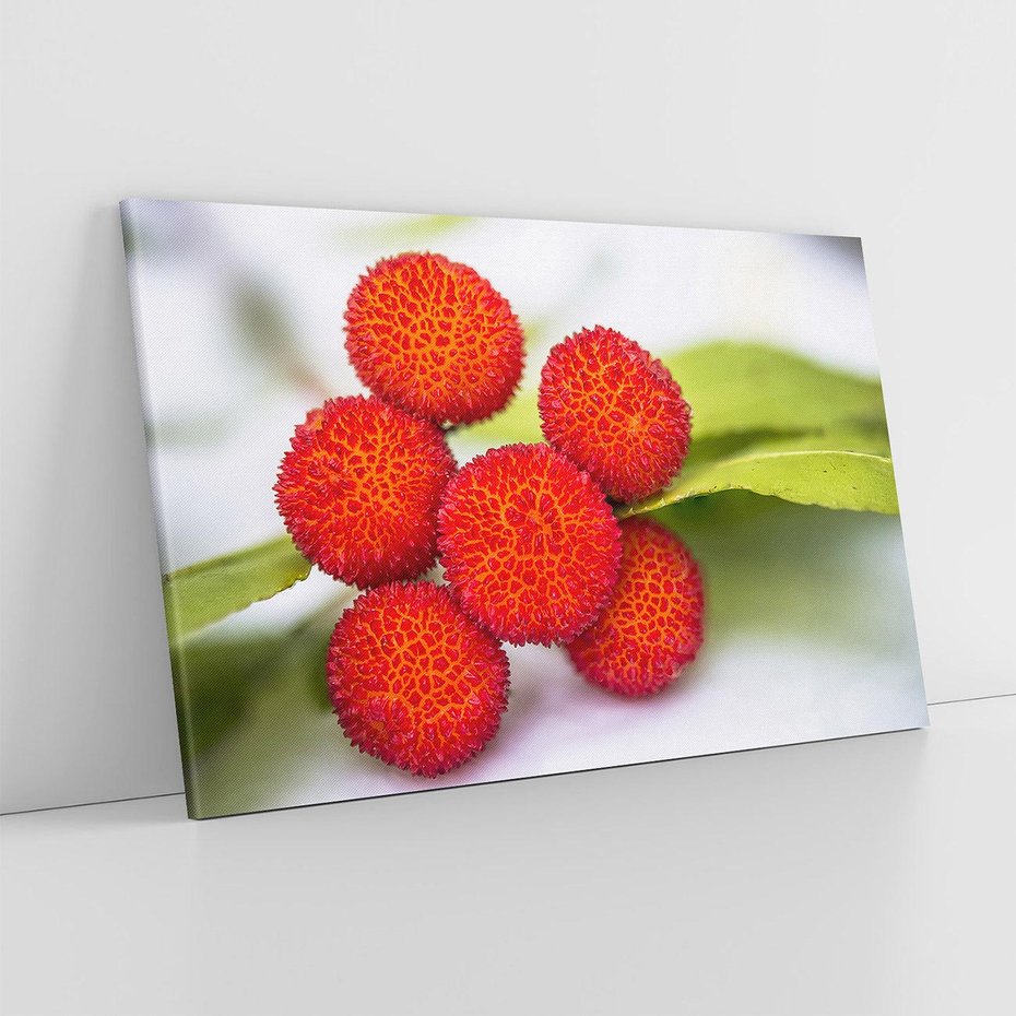 Obraz na płótnie 70x50 - Liczi Owoce - liczi, owoce