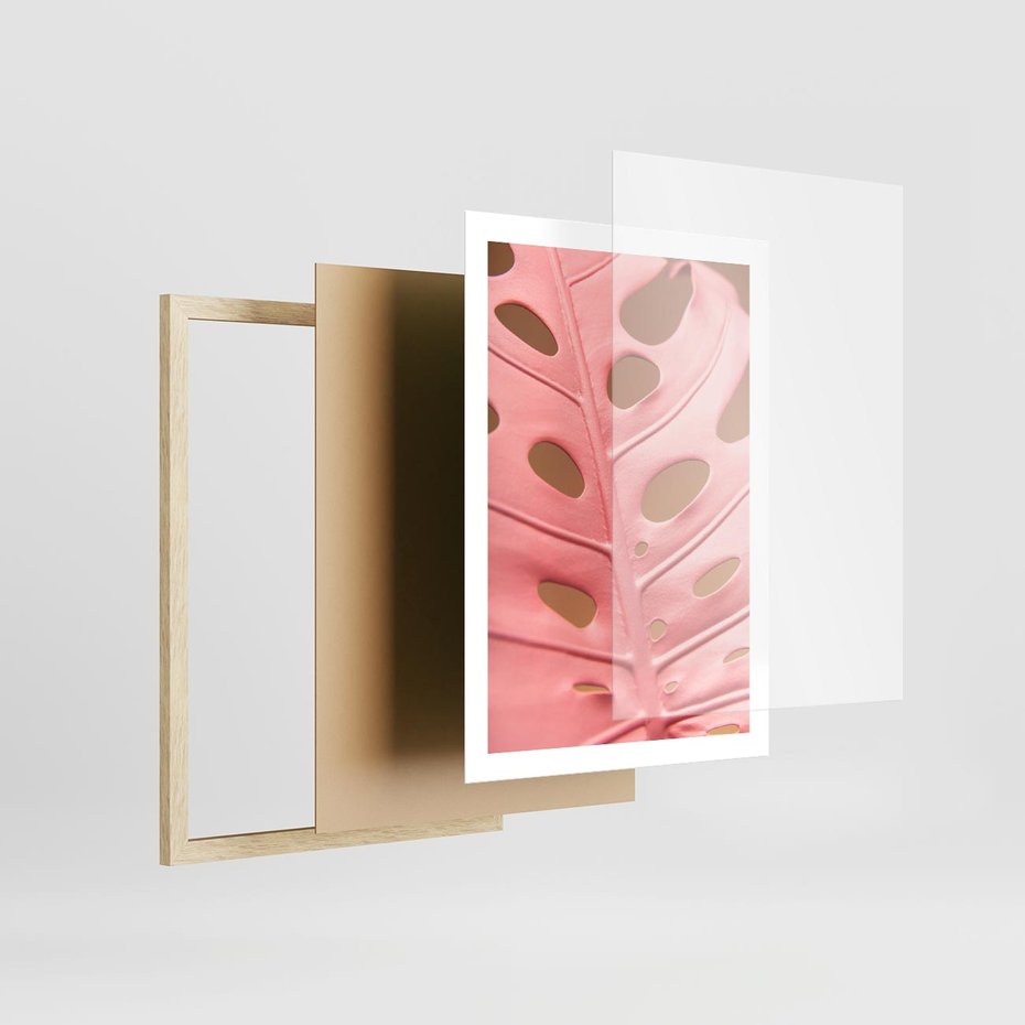 Plakat w ramie 50x70 - Różowa monstera w pełnym rozkwicie - różowa, monstera - rama drewno