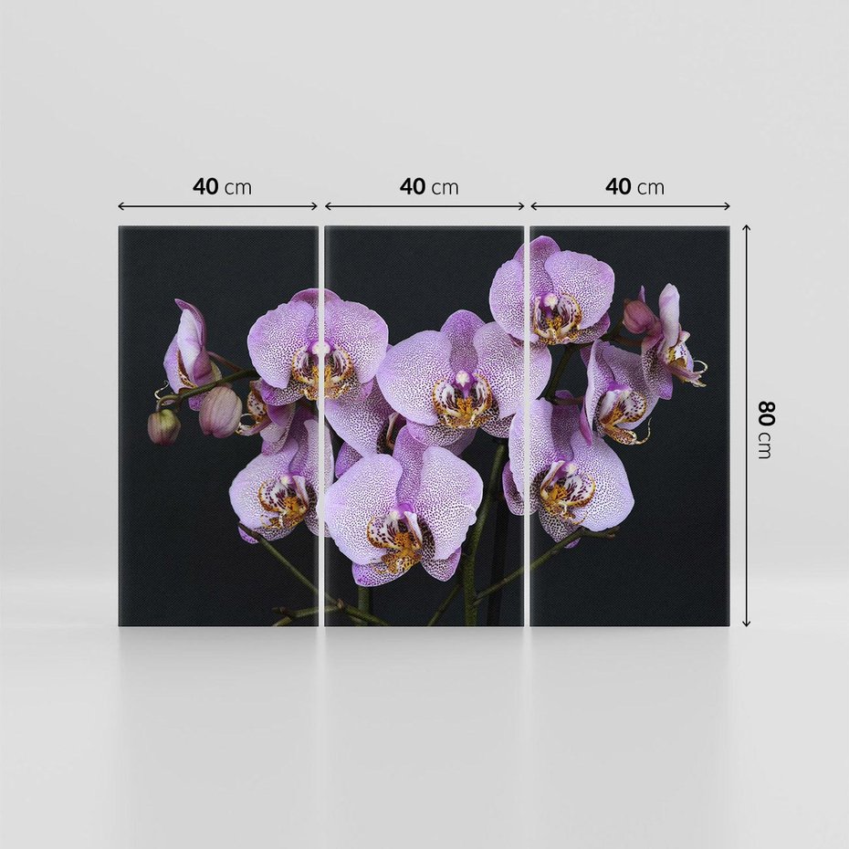 Obraz na płótnie 120x80 - Kwiatowy zachwyt pełen kolorów - kwiat, kwiaty