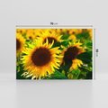 Obraz na płótnie 70x50 - Słonecznikowa Energia - słonecznik, kwiat