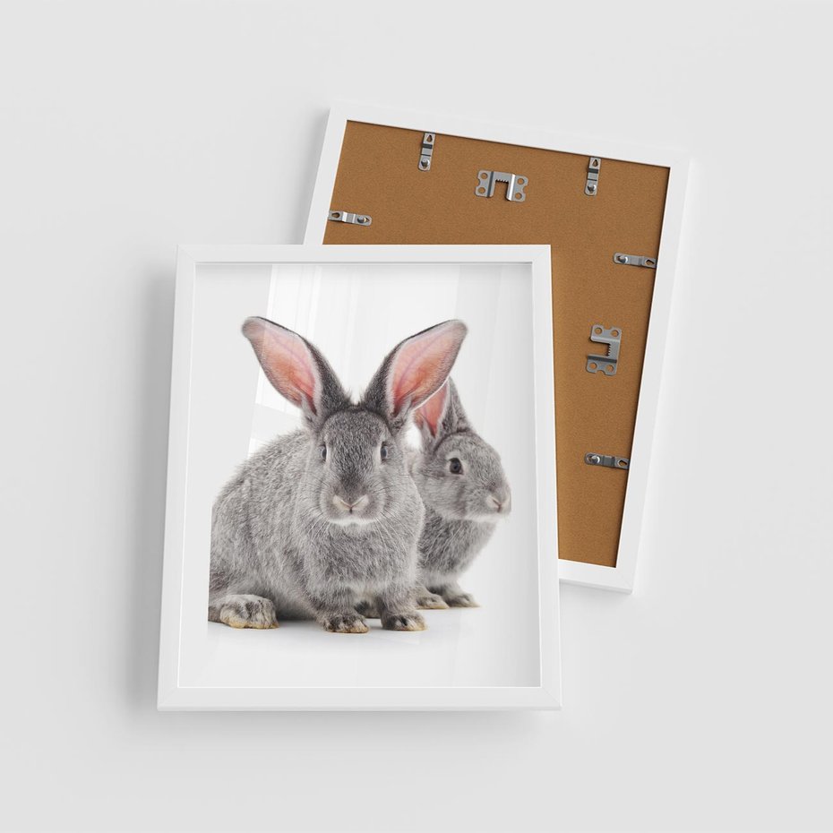 Plakat w ramie 40x50 - Uroczy królik wśród natury - królik, zając - rama biała