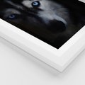 Plakat w ramie 30x40 - Wilk i husky: siła przyjaźni - wilk, husky - rama biała