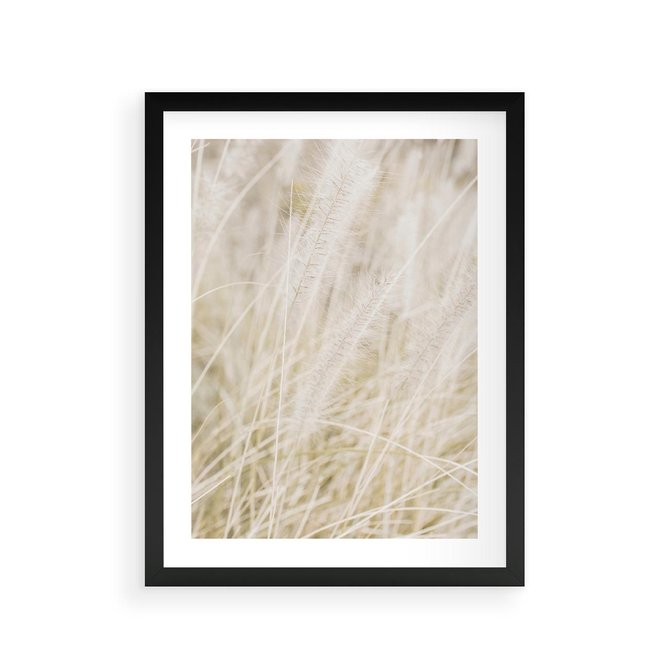 Plakat w ramie 30x40 - Białe Trawy Pampas - suche trawy, białe trawy - rama czarna