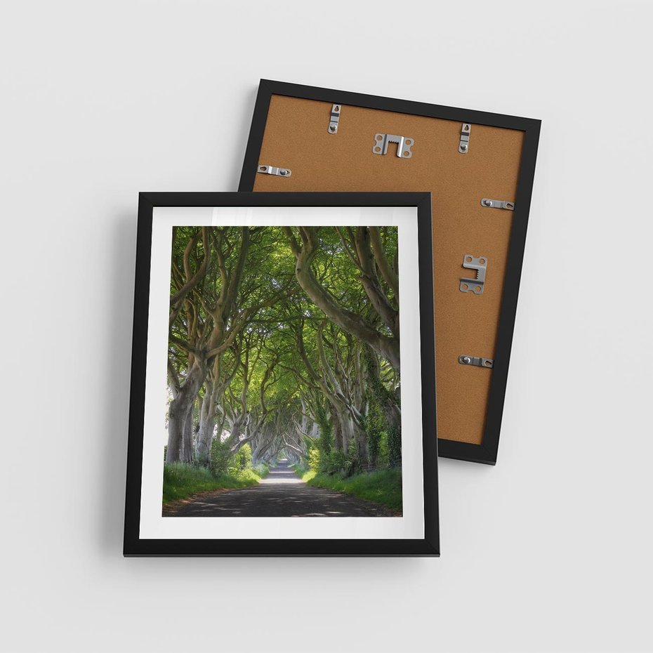 Plakat w ramie 40x50 - Magiczny Las - drzewa, las - rama czarna