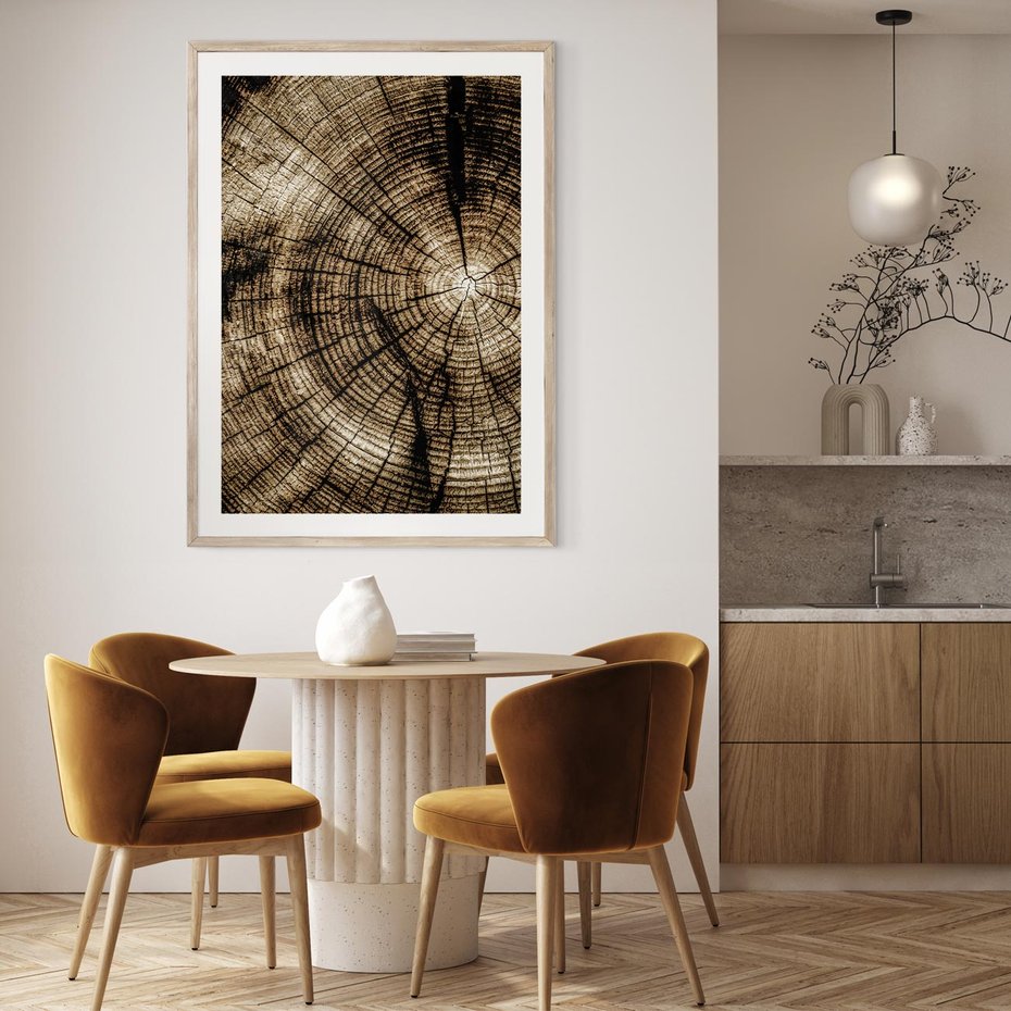 Plakat w ramie 40x50 - Natura Pod Lupą - pień drzewa, przekrój - rama drewno