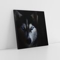 Obraz na płótnie 50x50 - Wilk i husky: siła przyjaźni - wilk, husky