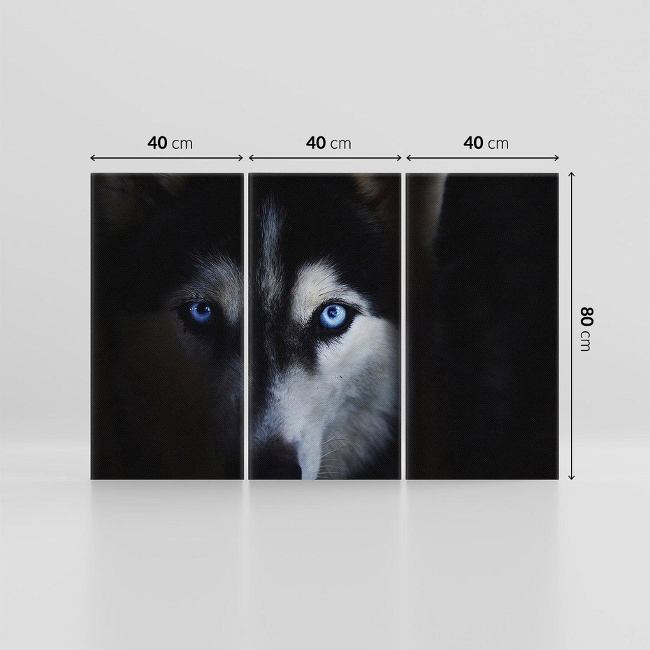 Obraz na płótnie 120x80 - Wilk i husky: siła przyjaźni - wilk, husky