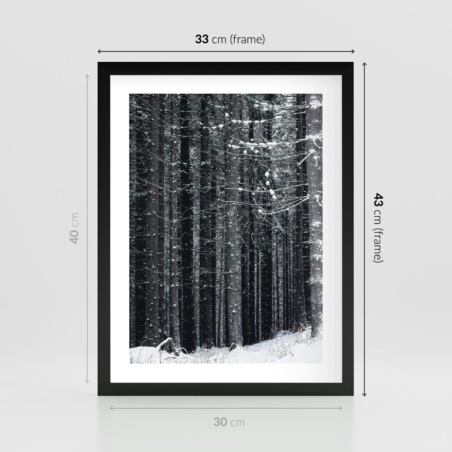 Plakat w ramie 30x40 - Leśna Cisza: Malowniczy Pejzaż Zimą - las zimą, ośnieżone pnie drzew - rama czarna