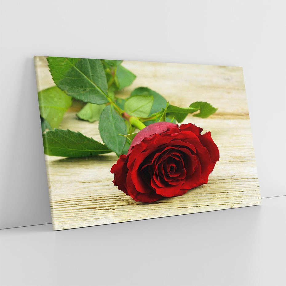 Obraz na płótnie 120x80 - delikatność kwiatu - róża, kwiat