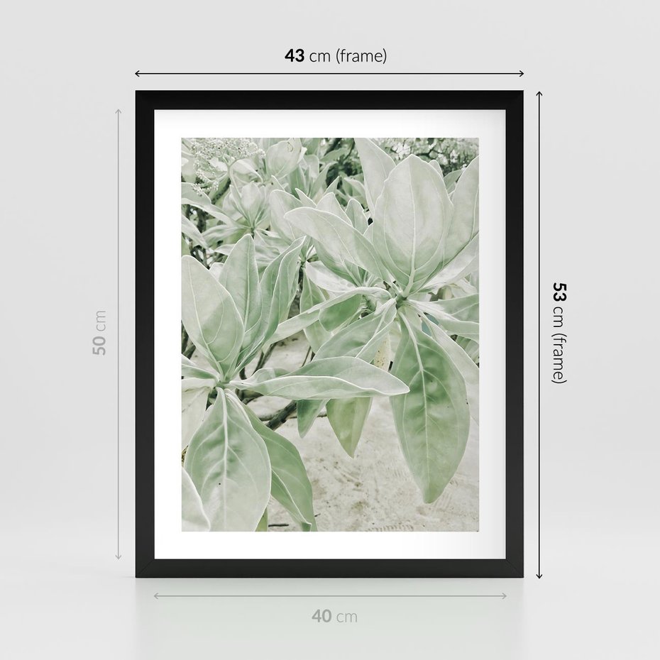 Plakat w ramie 40x50 - Jasnozielone Liście w Kompozycji - liście, jasna zieleń - rama czarna