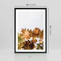 Plakat w ramie 50x70 - Suche Żółte Liście w Malowniczym Ujęciu - liście, żółte - rama czarna