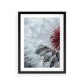 Plakat w ramie 30x40 - Makro Magii Natury - dmuchawiec, zbliżenie makro - rama czarna