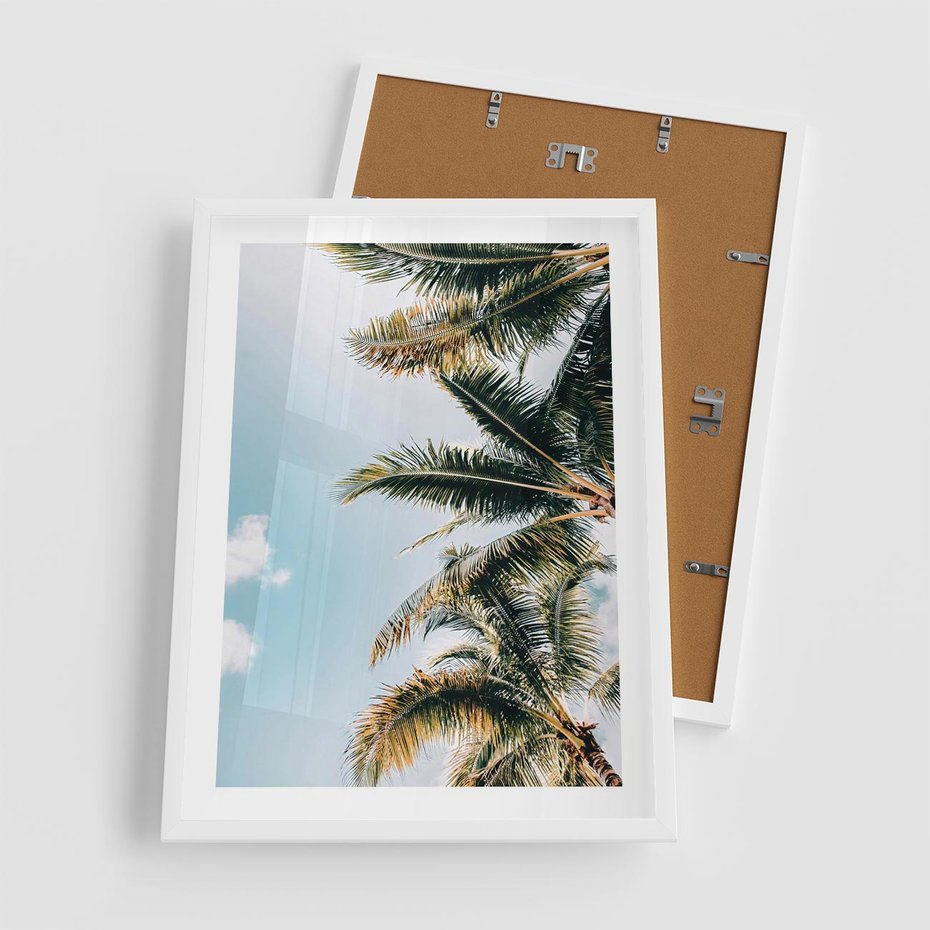 Plakat w ramie 50x70 - Pod Błękitnym Niebem - palmy, ujęcie z dołu - rama biała