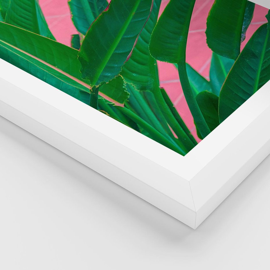 Plakat w ramie 50x70 - Odezwij się do przeszłości - liście, retro - rama biała