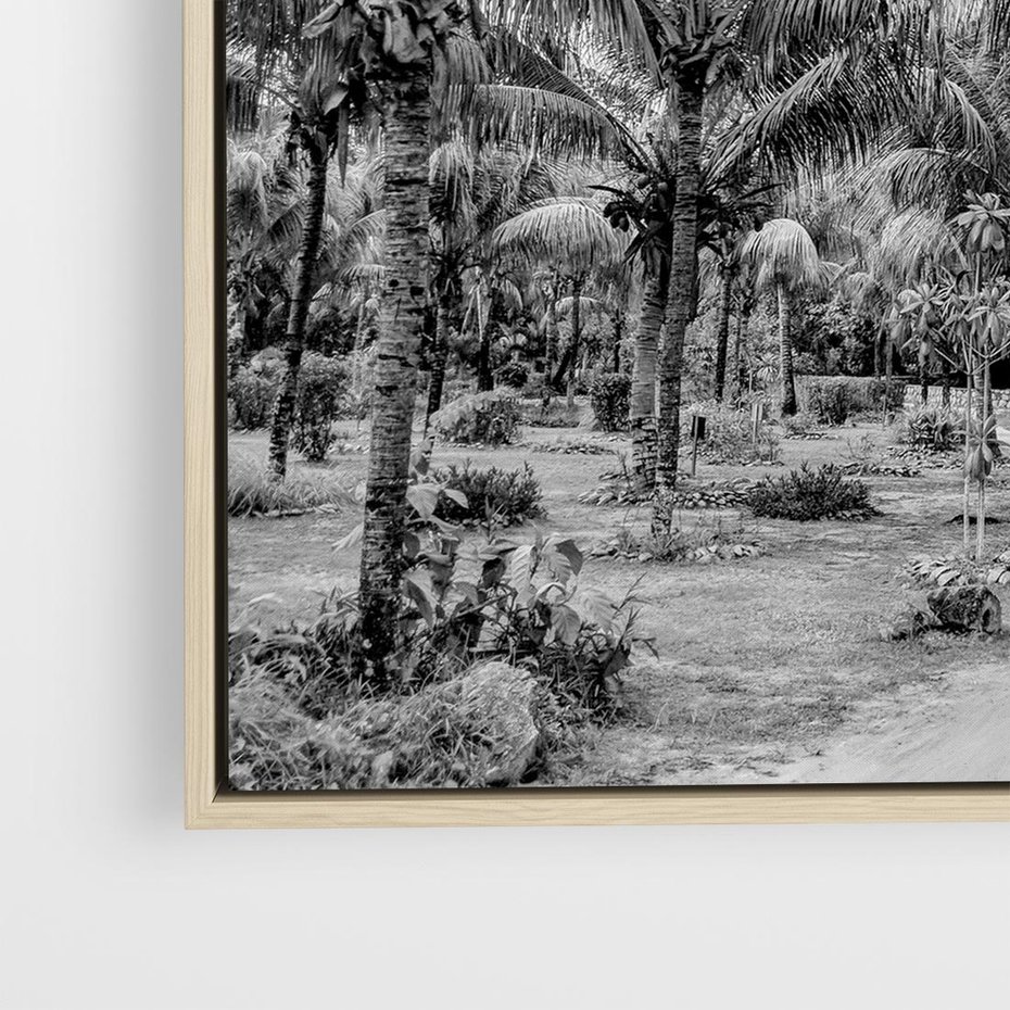 Obraz w ramie 80x80 - Mroczna Ścieżka Tropików - czarno biała fotografia, ścieżka pośród palm - rama drewno