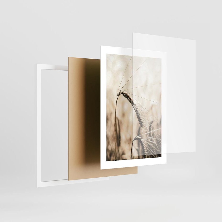 Plakat w ramie 30x40 - Źdźbło Pszenicy: Blisko Natury - źdźbło pszenicy, pszenica - rama biała