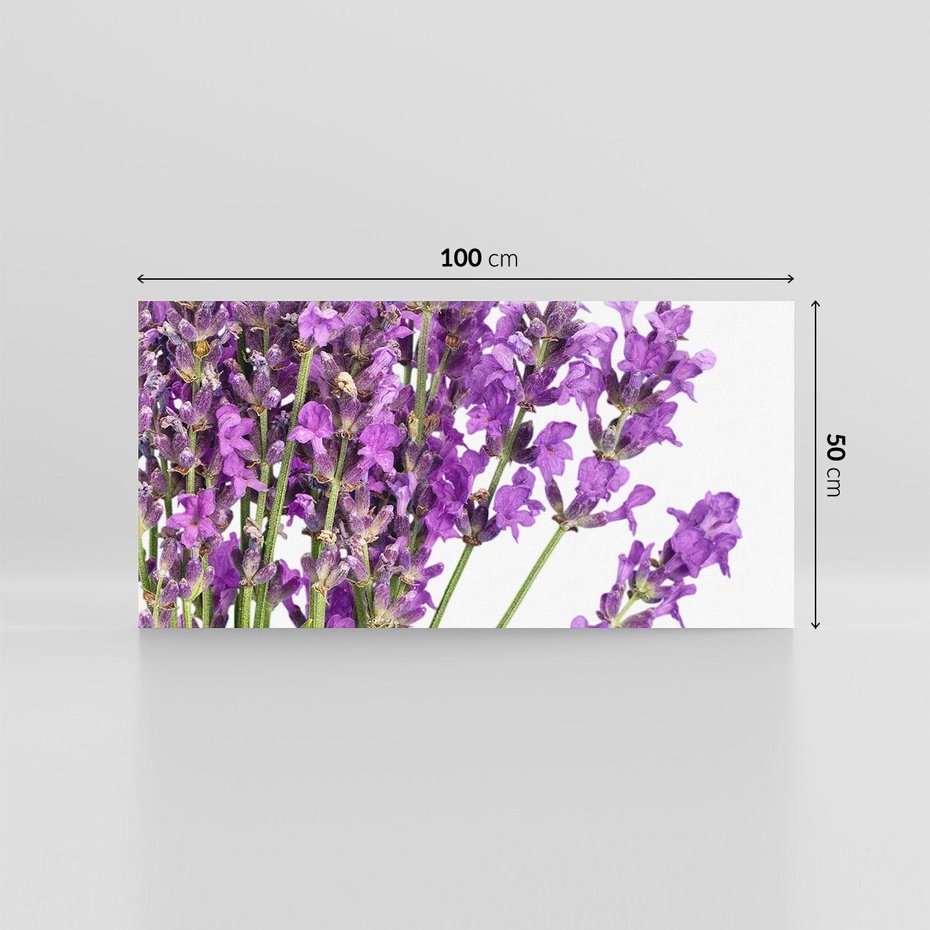 Obraz na płótnie 100x50 - Pola lawendy w pełnym rozkwicie - lawenda, kwiaty