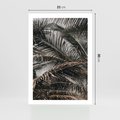 Plakat bez ramy 21x30 - Liściaste Palmy - palmy, drzewa palmowe