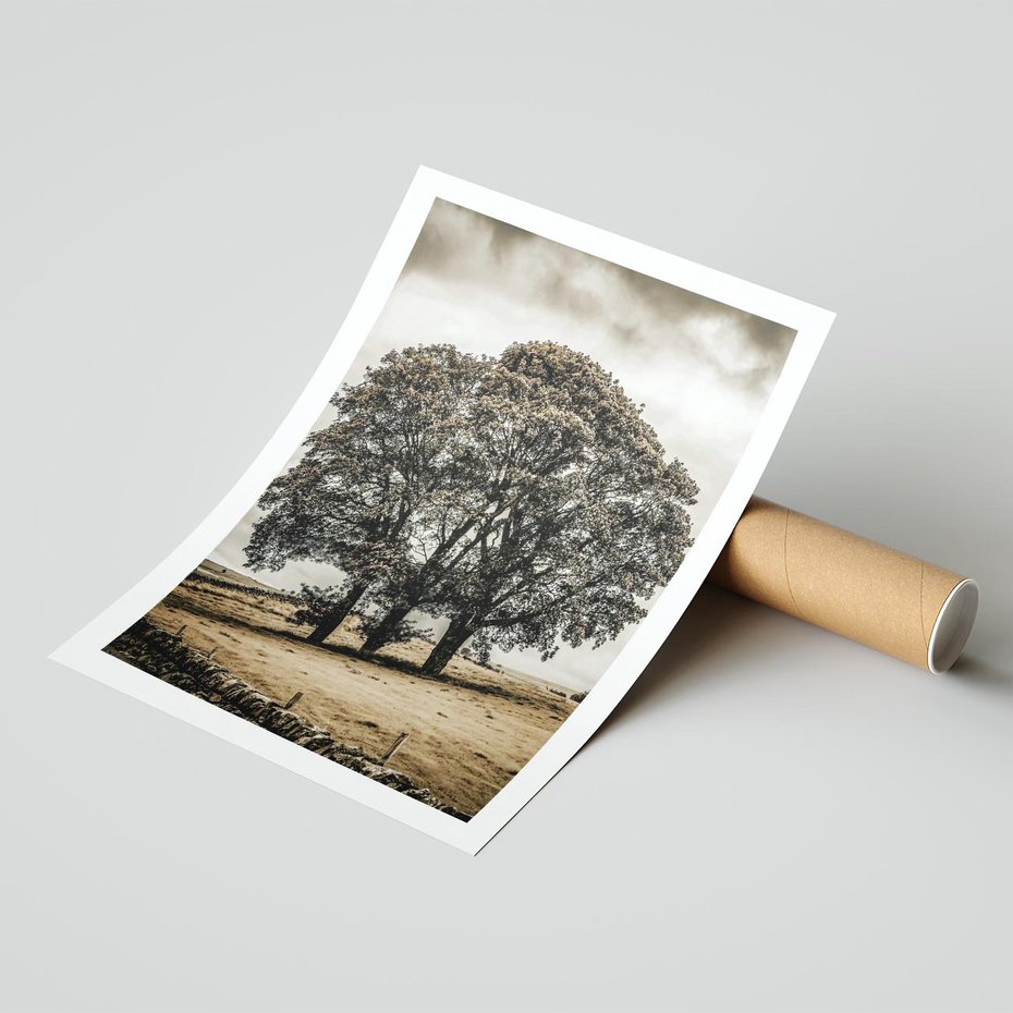 Plakat bez ramy 21x30 - Spokojna Osamotniona Chwila - beżowe kolory, samotne drzewo na polu