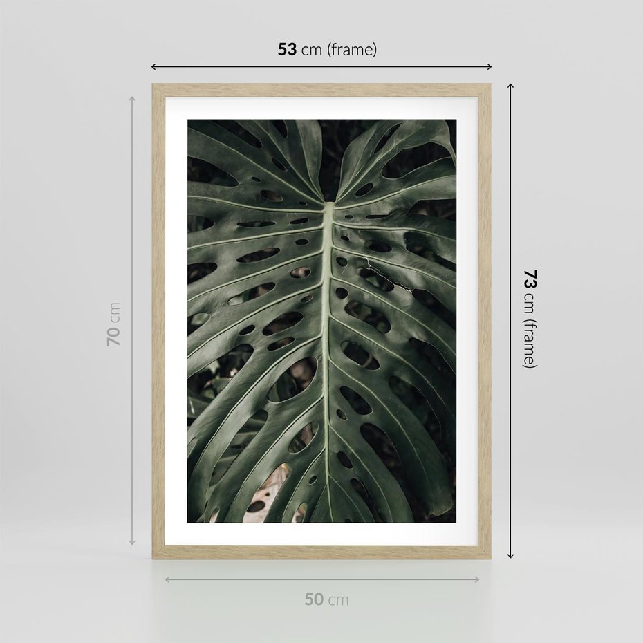 Plakat w ramie 50x70 - Majestatyczny Liść Monstery - liść monstery, majestatyczny liść - rama drewno