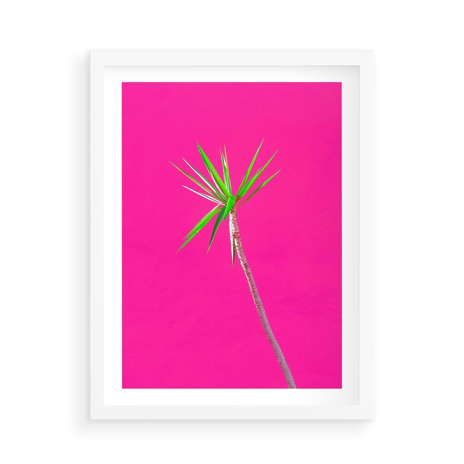 Plakat w ramie 50x70 - Retro Stylizacja - palma, liście - rama biała