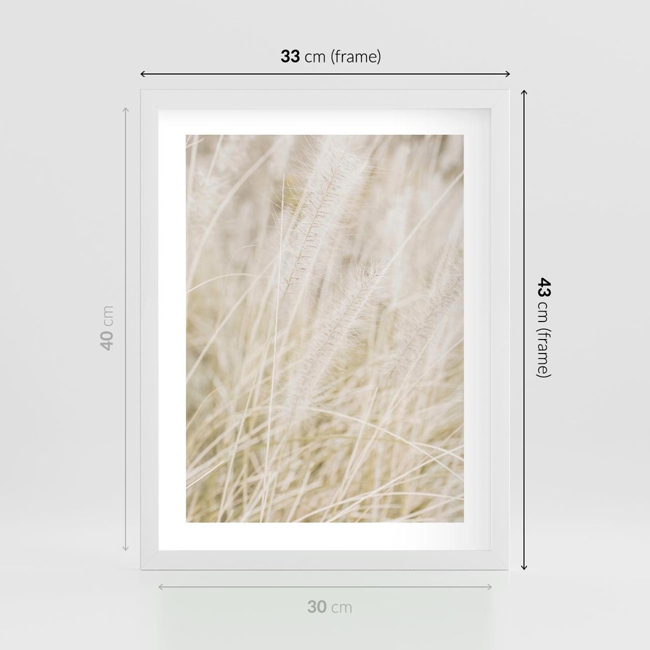 Plakat w ramie 30x40 - Białe Trawy Pampas - suche trawy, białe trawy - rama biała