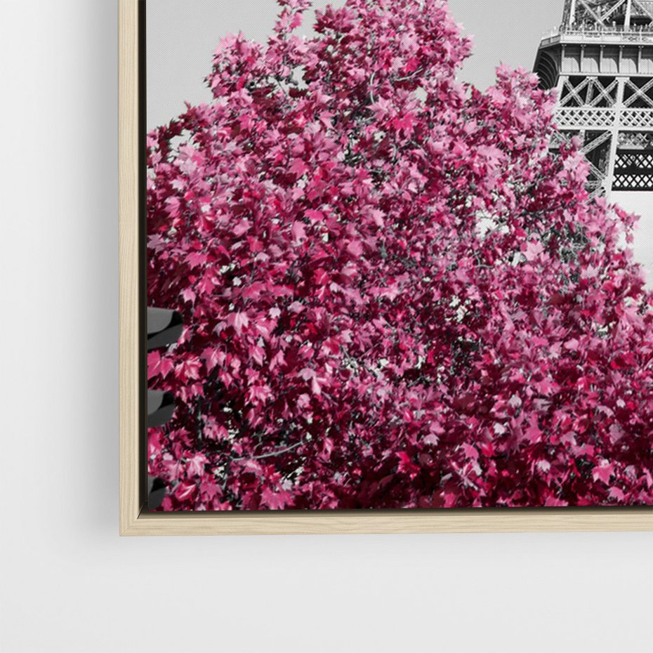 Obraz w ramie 70x100 - Różowy Paryż - czarno białe zdjęcie, wieża eiffla - rama drewno