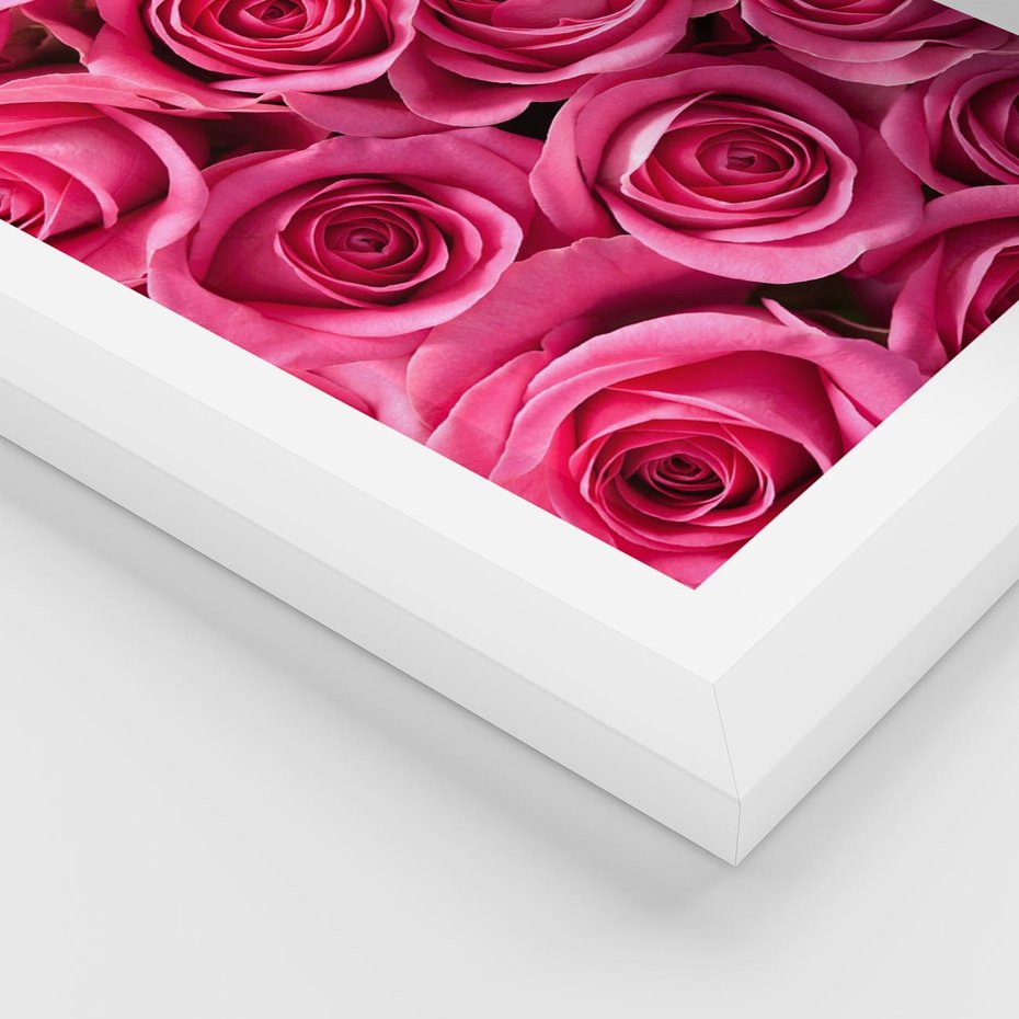 Plakat w ramie 30x40 - Romantyczne róże w pełnym rozkwicie - róże, kwiaty - rama biała