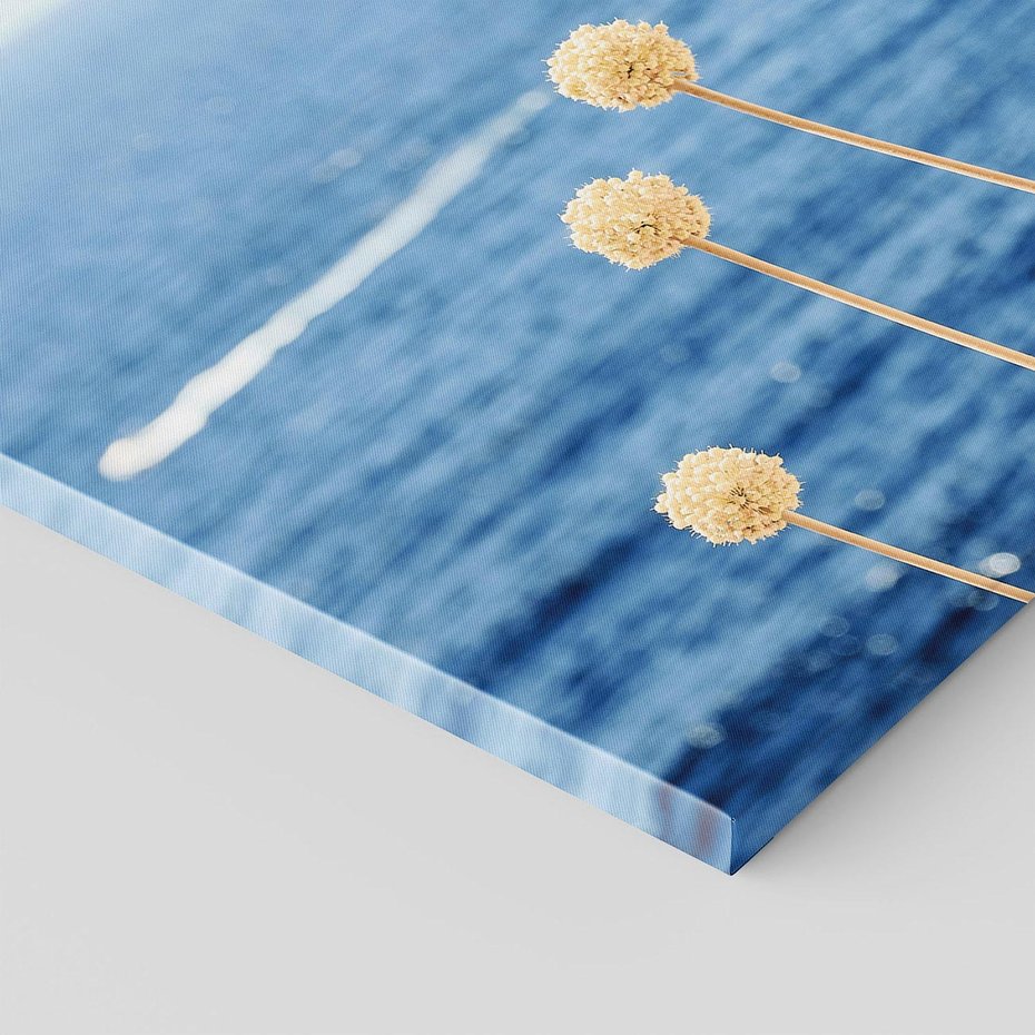 Obraz na płótnie 120x80 - Kontrasty Natury - fotografia, pierwszy plan sucha roślinność