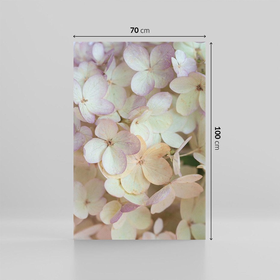 Obraz na płótnie 70x100 - Kwiatowy taniec - kwiaty, hortensje