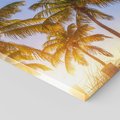 Obraz na płótnie 120x80 - Rajskie palmy w tropikalnym raju - palmy, tropiki