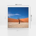 Obraz w ramie 50x50 - Słońce i Suche Drzewo - pustynia, suche - rama biała