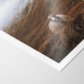 Plakat bez ramy 30x40 - Owiecka panorama - góry, owca