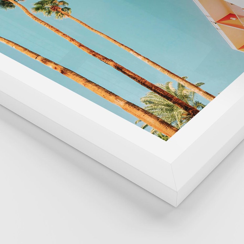 Plakat w ramie 40x50 - Letnie Marzenia - palmy, na tle nieba - rama biała