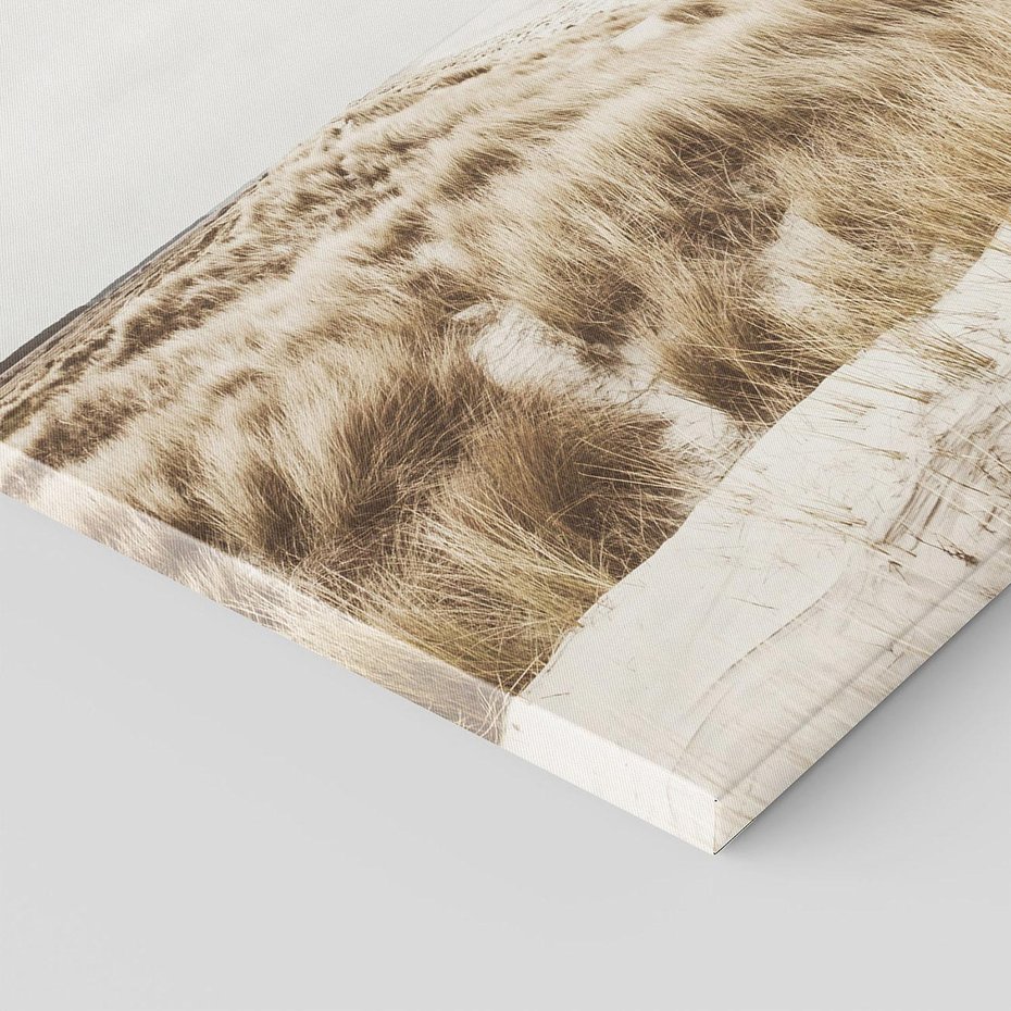 Obraz na płótnie 50x50 - Nadmorskie Wydmy - fotografia, kolory sepii