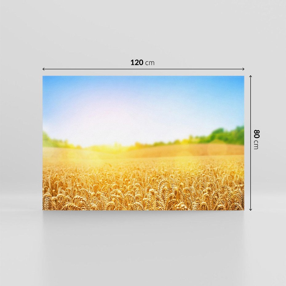 Obraz na płótnie 120x80 - Żyzne Pola - pole, pszenicy