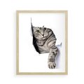 Plakat w ramie 40x50 - Tajemniczy kot i jego świat - kot, dziura - rama drewno